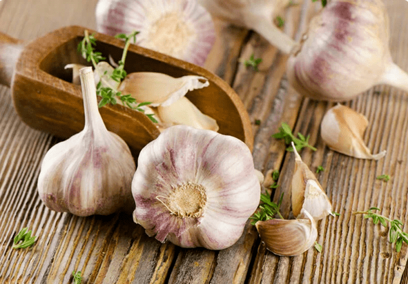 WORMS Garlic