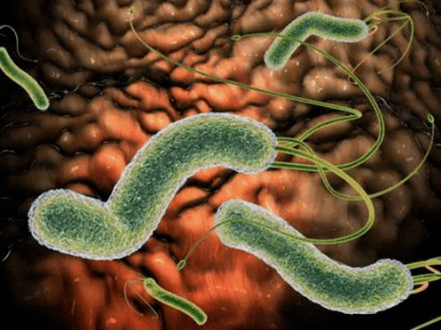 What parasites may be in the body