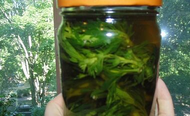 Herbal dye to remove bodies from the body