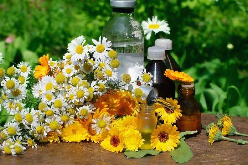 Parasite remedies