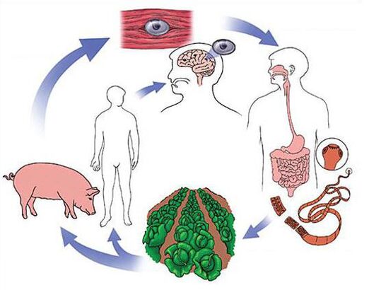 methods for diagnosing parasites